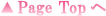 PageTop