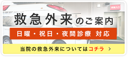 日曜 祝日 夜間の救急医療体制について 大阪市城東区 救急外来 内科 整形外科 社会医療法人 有隣会 東大阪病院