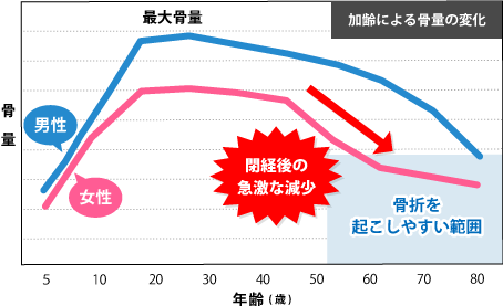 加齢による骨量の変化