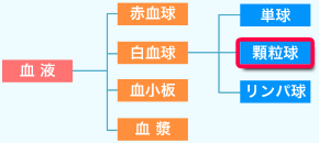 顆粒球