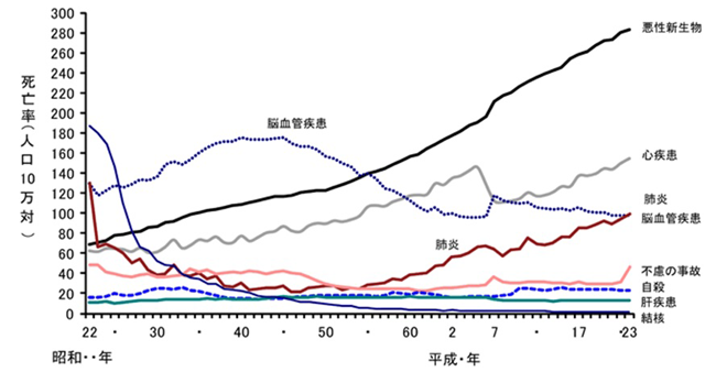 日本の死亡率の推移