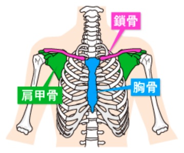 鎖骨骨折手術の様子について
