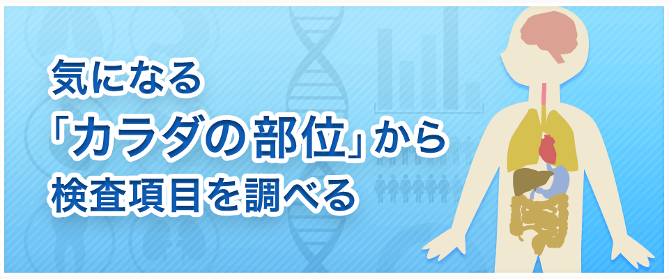 気になるカラダの部位から検査項目を調べる