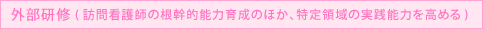外部研修 (訪問看護師の根幹的能力育成のほか、特定領域の実践能力を高める)