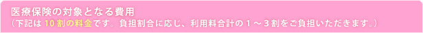 医療保険の対象となる費用（下記は10割の料金です。負担割合に応じ、利用料合計の1～3割をご負担いただきます。）